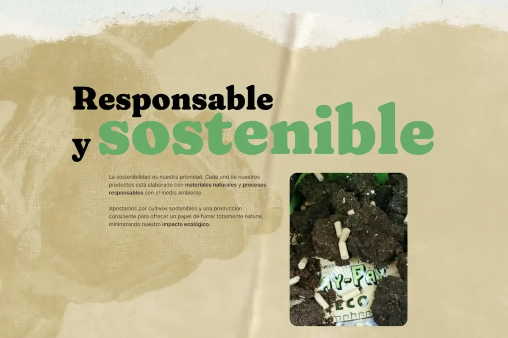 Pay-Pay Web Responsable